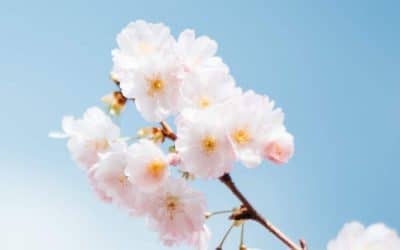 Menopause – What to expect and how to cope?