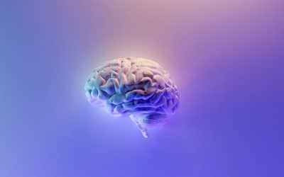 New Year – Boost your brain with Mindfulness