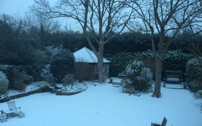 Have a Mindful Christmas