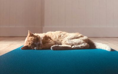 Getting a better night’s sleep